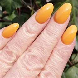 395 Among The Marigolds, Rise and Shine, CND Vinylux